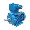 Explosion Proof Motor