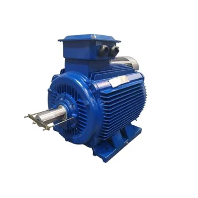 YVF315S-4A VVVF Three-phase Asynchronous 110 Kw Electric Motor 380V