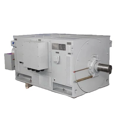 The Three Phase Squirrel Cage Induction Motor 8000kW