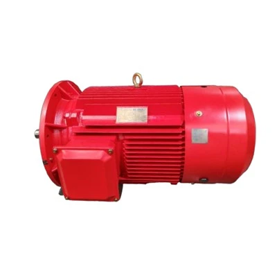YE3-315S-2KQ YE3 Three-phase Asynchronous V1 Mounting Motor ip55 380v