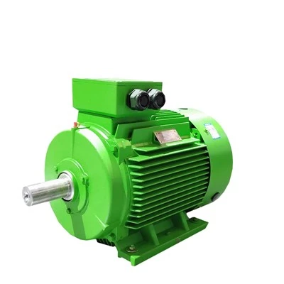 Variable Rpm Electric Motor