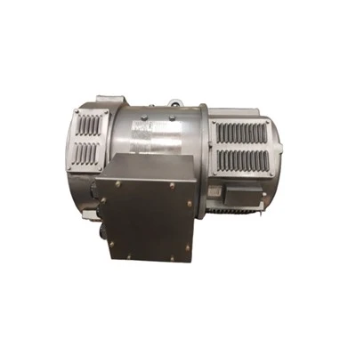 ZDB-72 22kw Vertical DC Motor 220V
